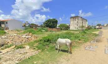 Imagem 2: Lote em Casa Caiada por R$119 mil - Promoção!!!