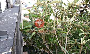 Imagem 2: Lote/Terreno para venda possui 313 metros quadrados em Sumarezinho - São Paulo - SP