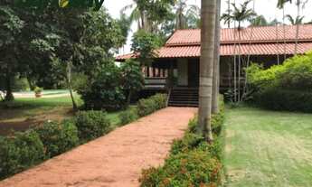 Imagem 6: Fazenda no Sul do Pará Com 2440 Alqueires