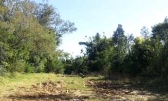 Imagem 4: Nova Santa Rita - Terreno Padrão - Berto Círio