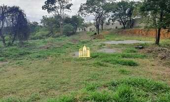 Imagem 6: Terreno as margens da BR-040