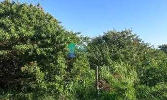 Imagem 2: Terreno à venda no bairro Pinheira (Ens Brito) - Palhoça/SC