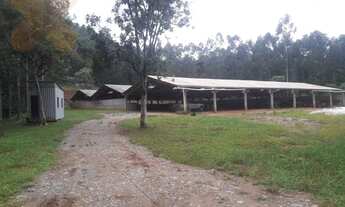 Imagem 3: Chácara com 2 dormitórios à venda, 563500 m² por R$ 2.800.000,00 - Área Rural de Campo Lar