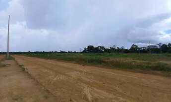 Imagem 7: Terrenos no Iranduba 10 minutos após a Ponte Rio Negro