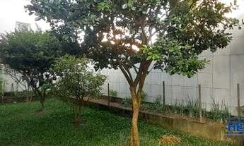 Imagem 6: Casa Mobiliada a Venda no Bairro Areias, São José