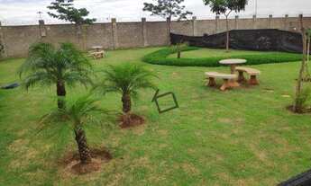 Imagem 4: Apartamento com 2 dormitórios para alugar, 39 m² por R$ 918,37/mês - Parque Residencial Ig