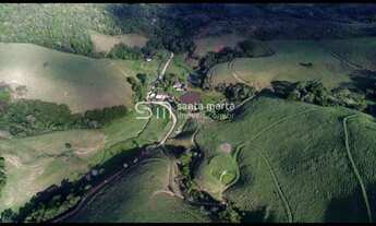 Imagem: FAZENDA GADO DE CORTE/LEITE/TURISMO PINDAMONHANGABA