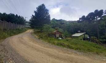 Imagem 7: Terreno no bairro Floresta em Gramado!