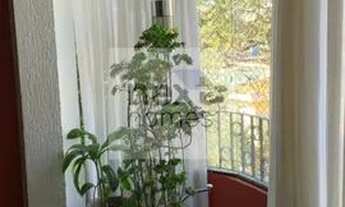 Imagem 5: Apartamento com 3 suítes e 3 vagas no Jardim Trussardi