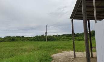 Imagem 4: 173 hectares sujo pra fazer há 35 km de Castanhal