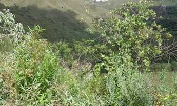 Imagem 2: Lote Jardim da Torre 360 m2