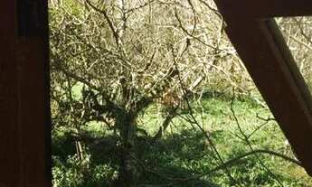 Imagem 4: Sítio na Barragem do Salto!