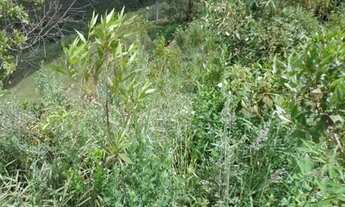 Imagem 3: Lote Jardim da Torre 360 m2