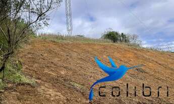 Imagem 2: Terreno para agricultura com 60.500m² ou 2,5 alqueires