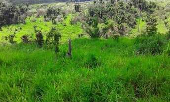 Imagem 4: FAZENDA Á VENDA M PACAJÁ - PA - 2.758,8 HECTARES (DUPLA APTIDÃO