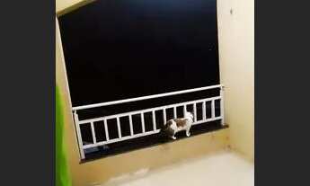 Imagem 3: Alugo pajucara Apartamento com 3 dormitórios