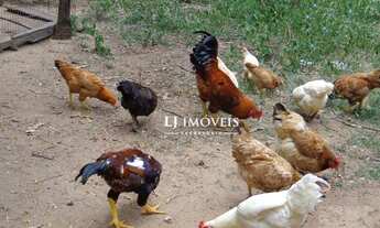 Imagem 2: Fazenda à venda, 484000 m² por R$ 2.000.000,00 - Paraíba do Sul - Paraíba do Sul/RJ