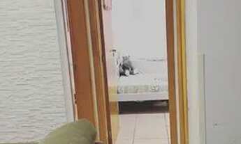 Imagem 3: Vendo ou troco apartamento