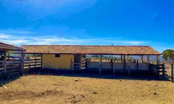 Imagem 6: Propriedade rural para investimento: fazenda com equipamentos e infraestrutura em Luziânia