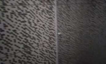 Imagem 4: Casa com ponto comercial em Araruama Região dos Lagos / Rio de Janeiro