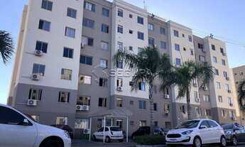 Imagem 4: CANOAS - Padrão - Mato Grande