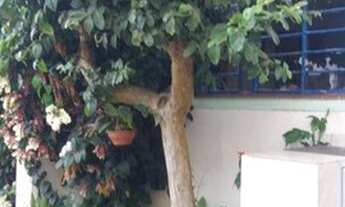 Imagem: Sobrado à venda, 113 m² por R$ 800.000,00