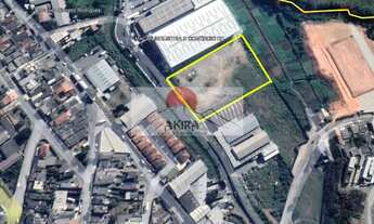 Imagem 4: Vendo lote industrial 12.100 m² plano e murado no Aracília!!