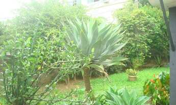 Imagem 6: CASA RESIDENCIAL em SAO PAULO - SP, VELEIROS