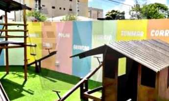 Imagem 2: Orquídeas do Sul