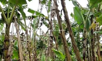 Imagem 7: SÃO LOURENÇO DA SERRA - Chácara - COLINA VERDE
