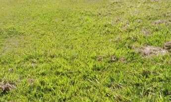 Imagem 7: Terreno em Condomínio para Venda em Sorocaba, Jardim Ibiti do Paço