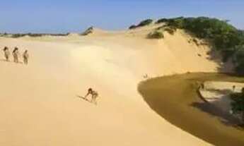 Imagem: Excelente Lote em Lagoa Redonda Pirambu/Se