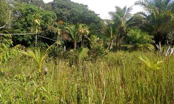 Imagem 2: Vendo excelente fazenda em taperoa