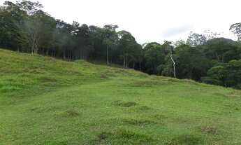 Imagem 7: Sítio para venda tem 60.670 m² com 7 quartos em Parada Modelo - Guapimirim - R.J: