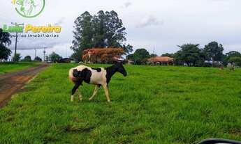 Imagem 2: FAZENDA À VENDA EM CAMPO GRANDE - MS - 207 HECTARES (Dupla aptidão