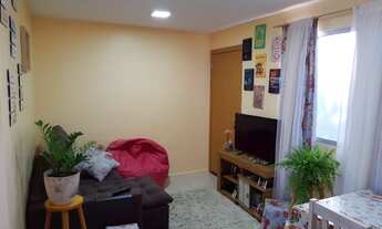 Imagem 2: CANOAS - Padrão - São José