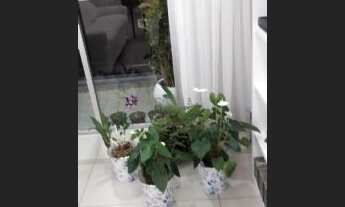 Imagem 7: APARTAMENTO A VENDA