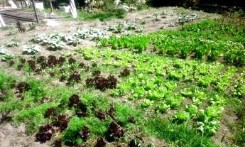 Imagem 3: VENDO OU ALUGO UM BELÍSSIMO SÍTIO EM XERÉM!