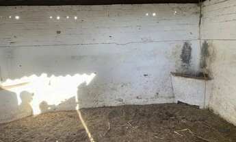 Imagem 6: ALUGA-SE HARAS EM CHA GRANDE PERTO DO HOTEL HILANDHER