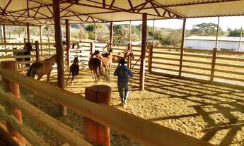 Imagem 8: Excelente fazenda de 130 alqueires em Cocalzinho