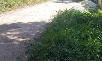 Imagem 2: Terreno para Venda em Mairiporã, Jardim Samambaia