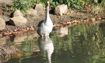 Imagem 3: MARAVILHOSA CASA ESTILO MODERNA EM CONDOMINIO FECHADO - ITÚ