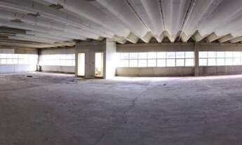 Imagem 3: Galpão para alugar