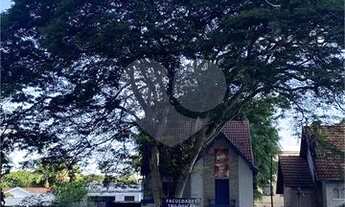 Imagem 2: Excelente ponto comercial na melhor localização de São Paulo