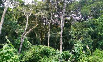 Imagem 5: Terreno à venda, 5549 m² por R$ 1.100.000,00 - Miringuava - São José dos Pinhais/PR