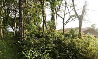 Imagem 2: Terreno no bairro Palace Hotel em Canela!