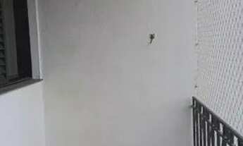 Imagem 6: Apartamento para aluguel, 3 quarto(s), Vila Leopoldina, São Paulo - AP4131