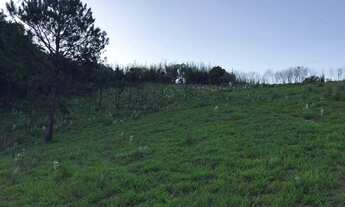 Imagem 4: Terreno à venda de 25800 m² no Itapetinga em Atibaia/SP - TE0923