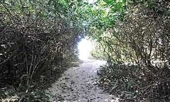 Imagem 3: Terreno à venda Corcovado Ubatuba/SP