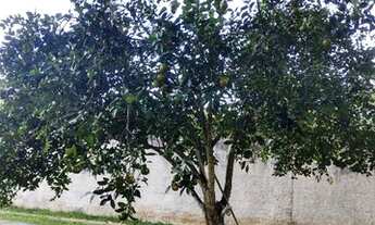 Imagem 4: Casa para aluguel tem 1200 metros quadrados com 3 quartos em Vargem Grande - Rio de Janeir